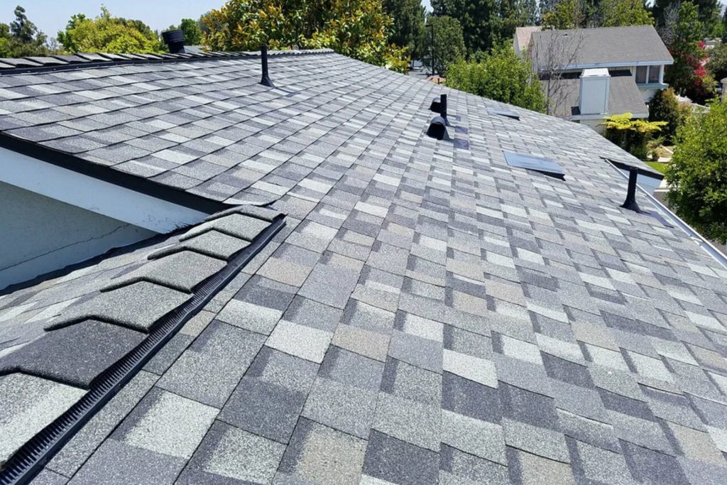 Shingle Roof