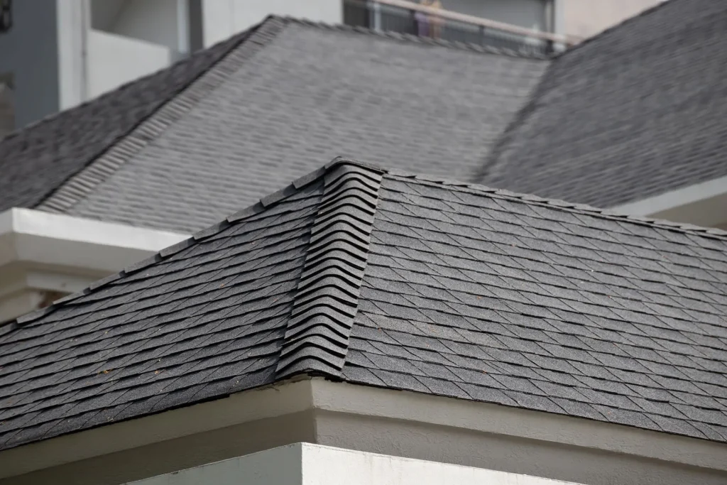 Shingle Asphalt Roof