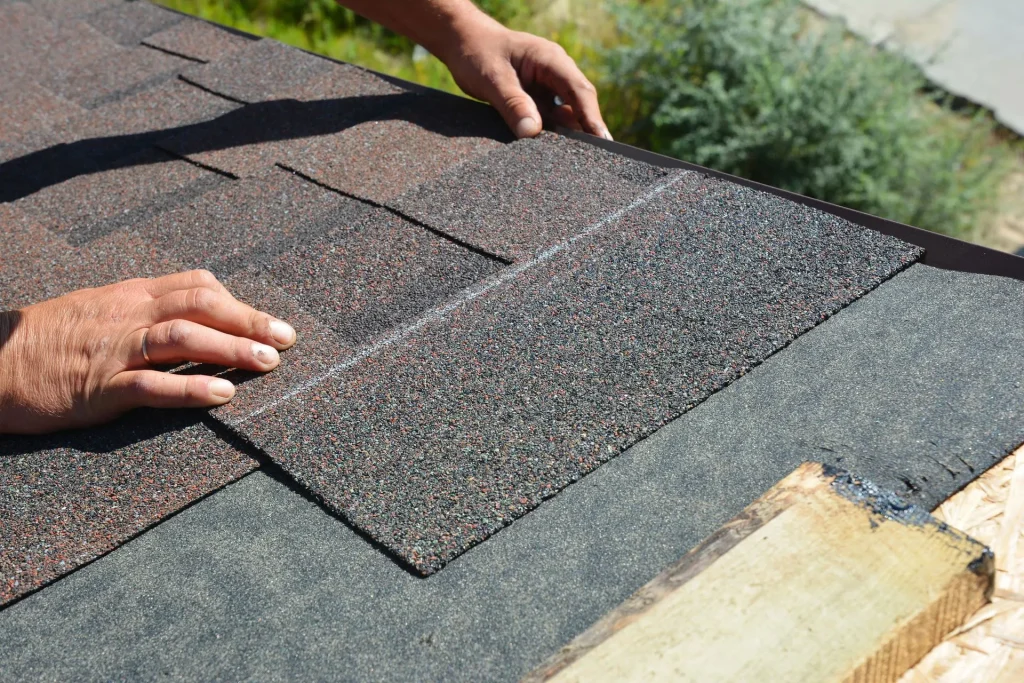 Shingle Roof