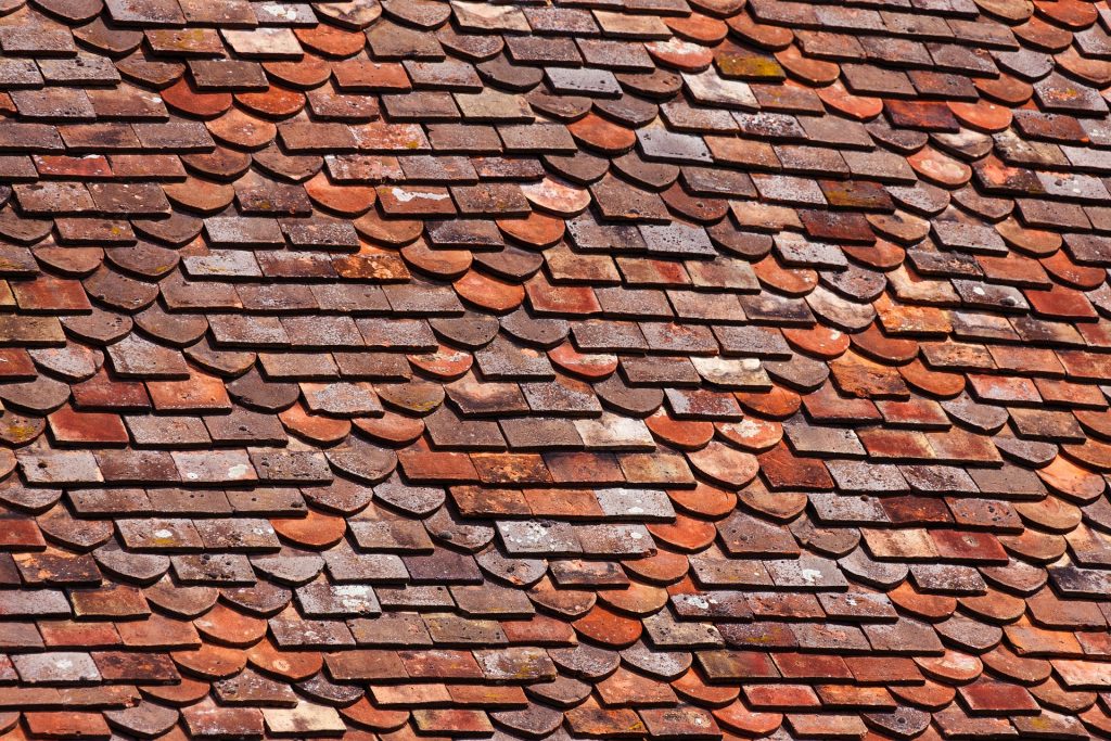 Shingle Roof