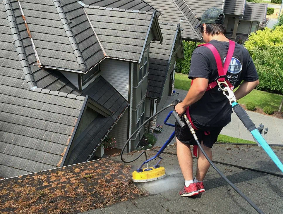 roof maintenance tips