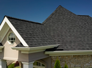 shingle roof