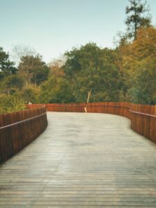 walk deck